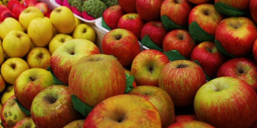 Can I feed deer store-bought apples?