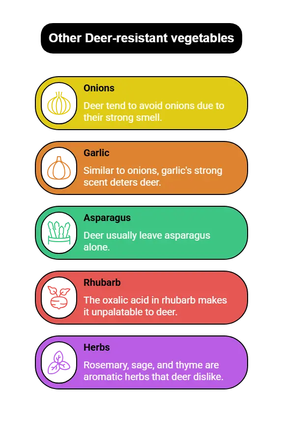 Infographic listing deer-resistant vegetables and herbs including onions, garlic, asparagus, rhubarb, and aromatic herbs like rosemary, sage, and thyme that naturally repel deer.


