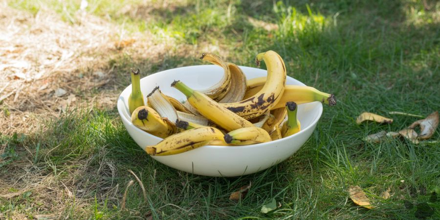 Can deer eat bananas with peels?